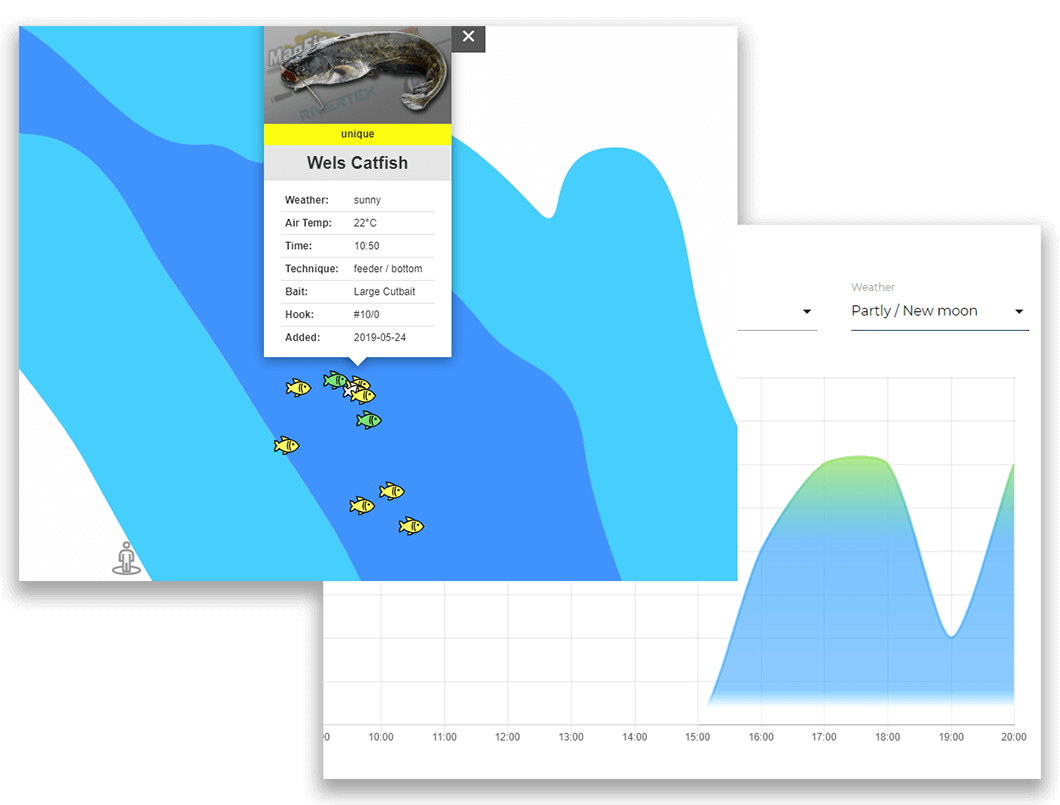 https://fp-collective.com/assets/imgs/chart-map.png